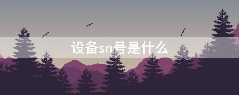 设备sn号是什么（电脑设备sn号是什么）