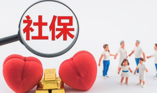 社保交了几年怎么查询（上海查社保交了几年怎么查询）