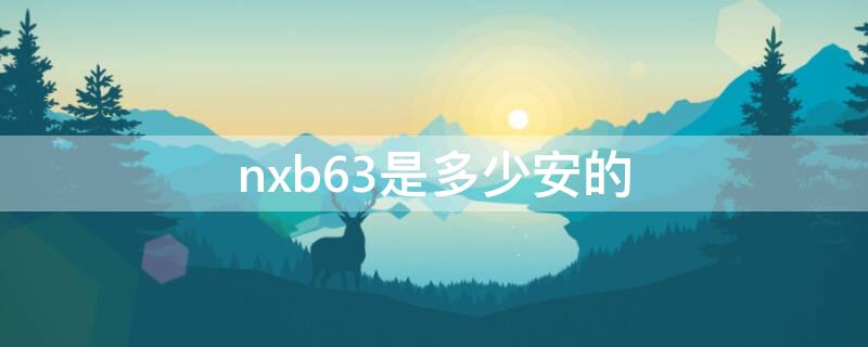 nxb63是多少安的（nxb63c32是多少安的）