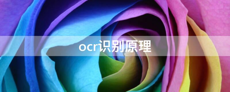 ocr识别原理（ocr识别操作方式）