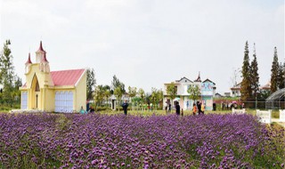 西安薰衣草庄园几月份去最好（西安薰衣草庄园几月份去最好呢）